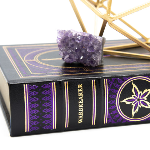 Signed Leatherbound Warbreaker - Deluxe Dragonsteel Edition